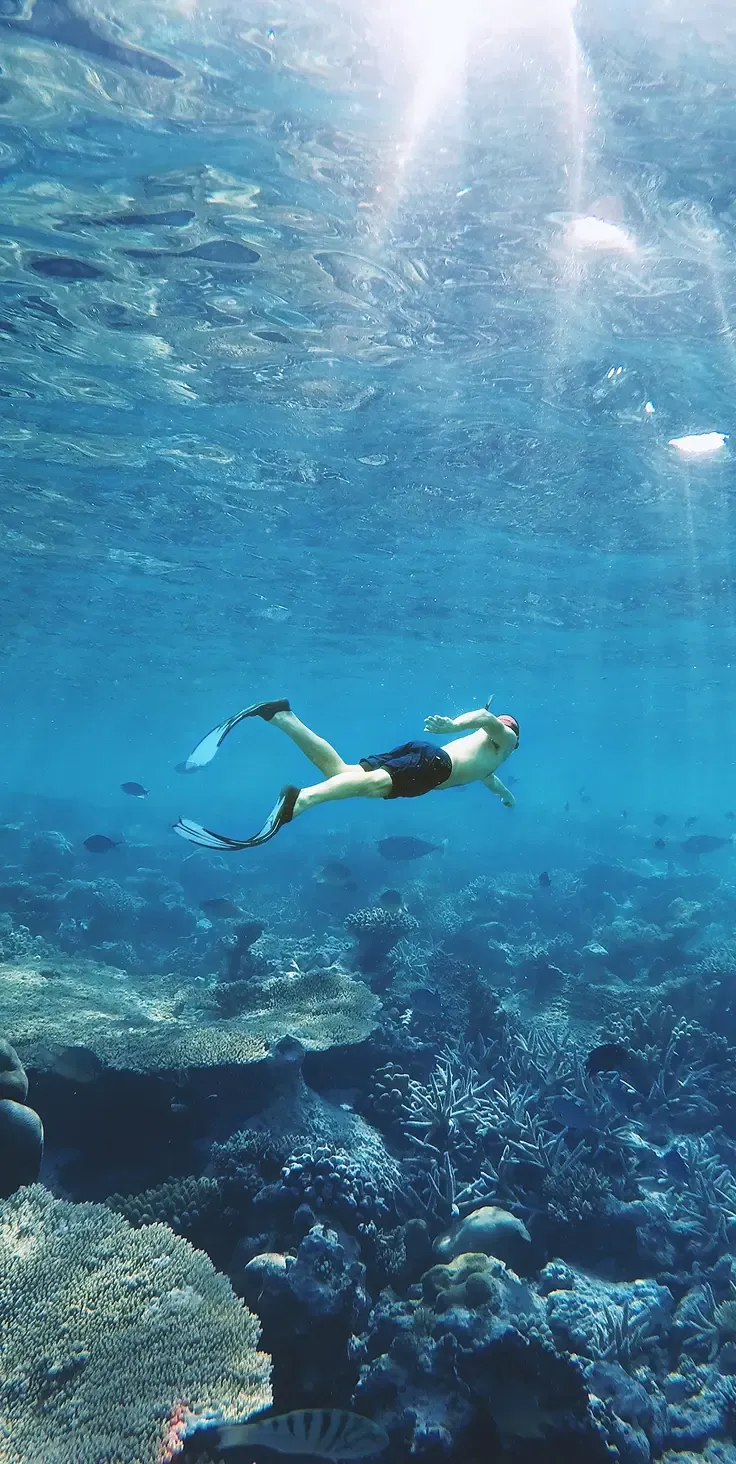 Snorkeling